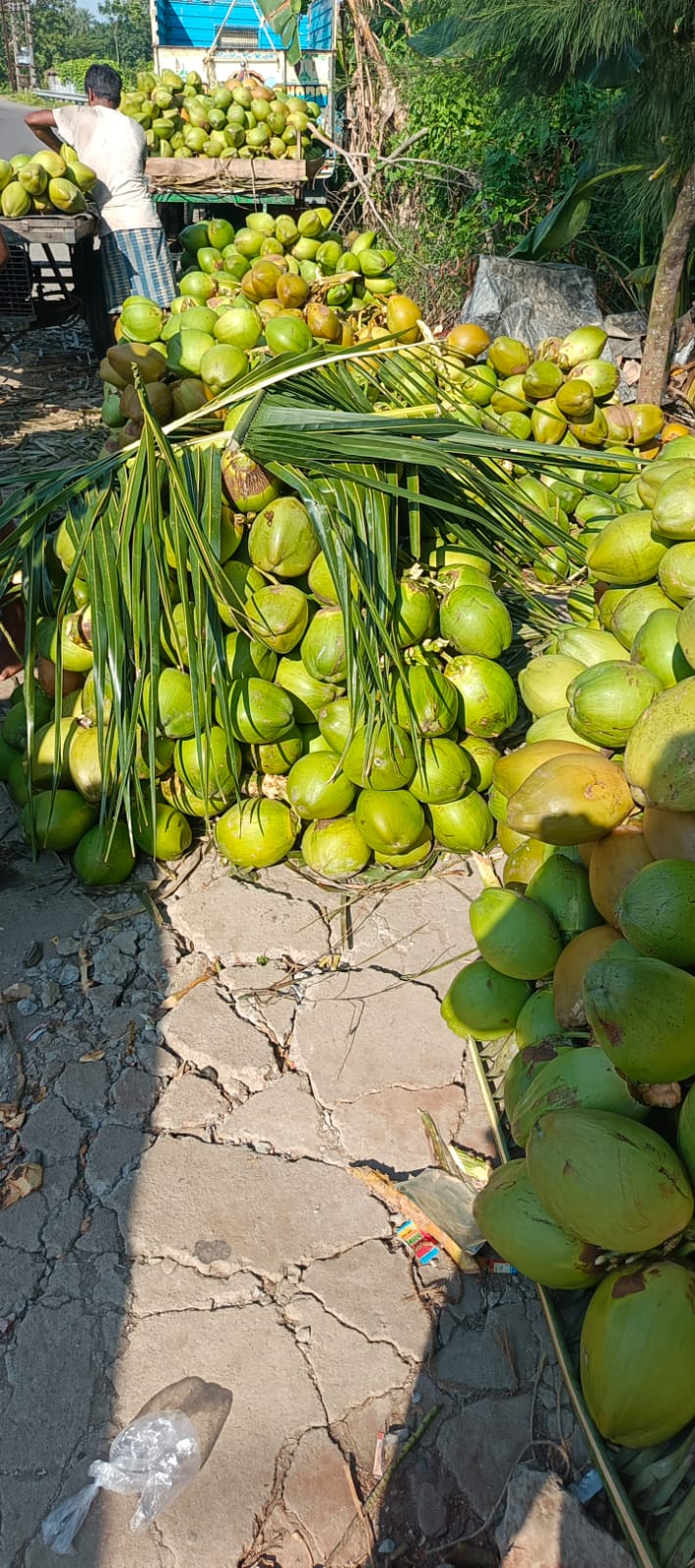 Fresh Tender Coconut